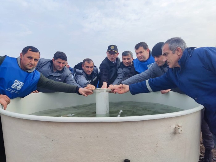 Bəsitçay və Həkəri çaylarına balıq körpələri buraxıldı - FOTO