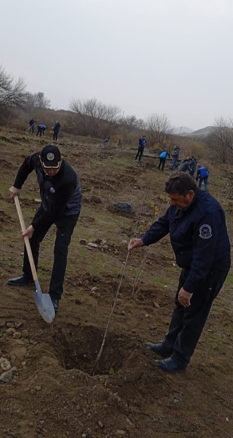 Zəngilanda ağacəkmə tədbiri keçirildi - FOTO