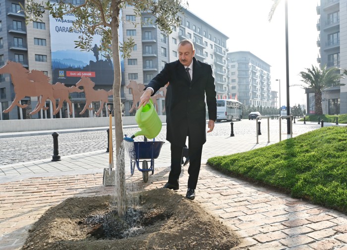 İlham Əliyev Ağ Şəhərdə görülən işlərlə tanış olub - YENİLƏNİB (FOTO)