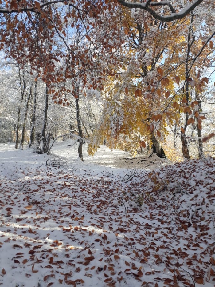 Milli parklara səfər edən turistlərin sayı ilbəil artır - FOTOLAR