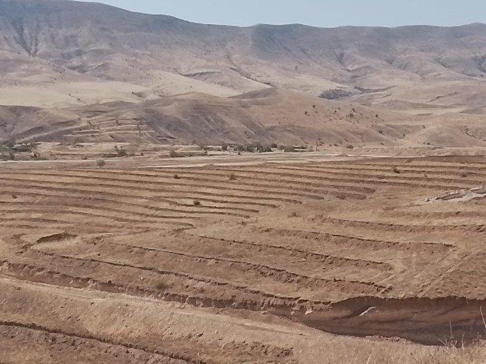 "Dostluq Meşəsi"ndə ağacəkmə tədbirləri davam edir - FOTOLAR