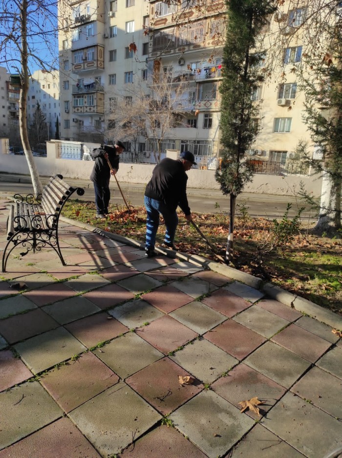 Xətaidə "Heydər Əliyev İli"nə həsr olunan ağacəkmə aksiyası keçirildi - FOTOLAR