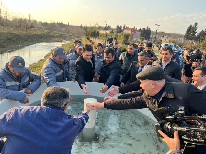 Viləş çayına balıq körpələri buraxıldı - FOTOLAR