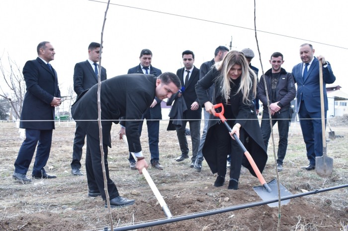 ADAU-da “Heydər Əliyev İli” çərçivəsində ağacəkmə aksiyası keçirilib - FOTO