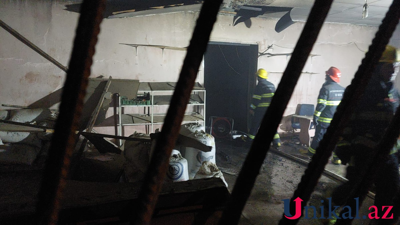 Gəncədə yem mağazası yandı - FOTO