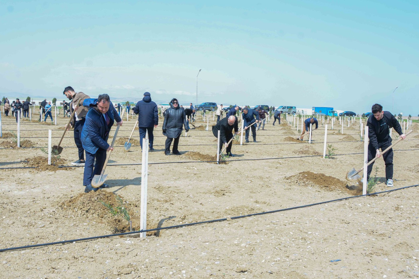 UNEC “Heydər Əliyev İli” çərçivəsində  ağacəkmə aksiyasına qoşuldu - FOTOLAR