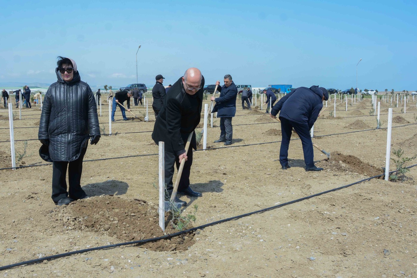 UNEC “Heydər Əliyev İli” çərçivəsində  ağacəkmə aksiyasına qoşuldu - FOTOLAR