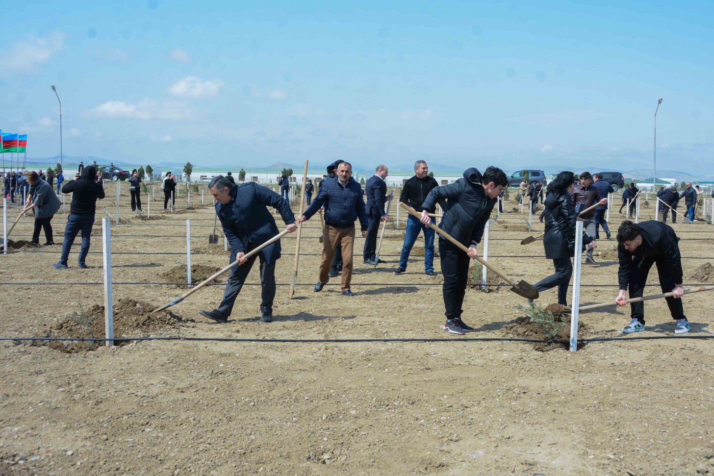 UNEC “Heydər Əliyev İli” çərçivəsində  ağacəkmə aksiyasına qoşuldu - FOTOLAR