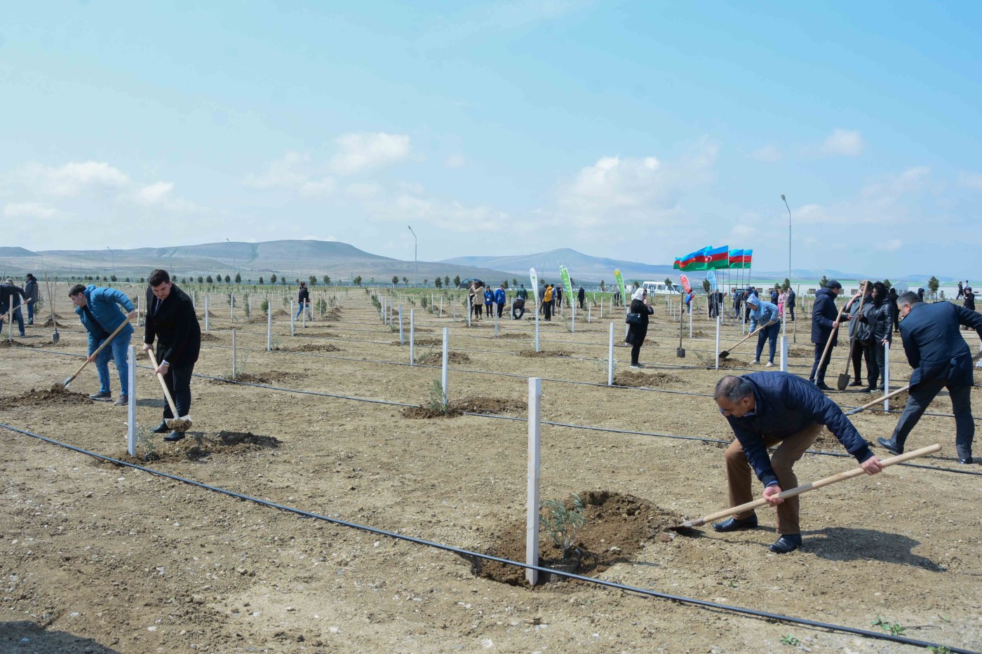 UNEC “Heydər Əliyev İli” çərçivəsində  ağacəkmə aksiyasına qoşuldu - FOTOLAR