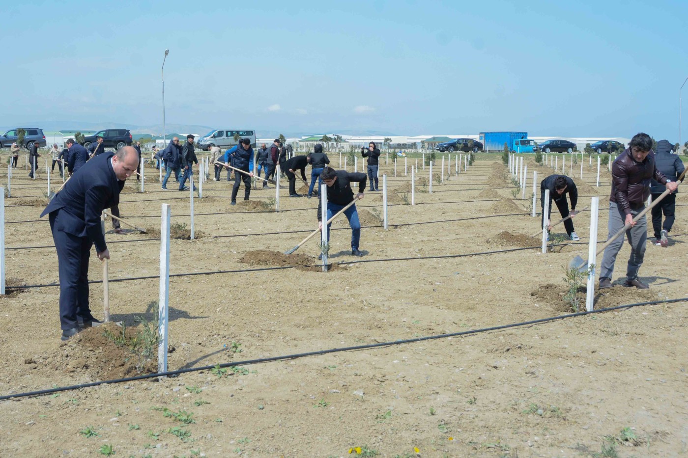 UNEC “Heydər Əliyev İli” çərçivəsində  ağacəkmə aksiyasına qoşuldu - FOTOLAR