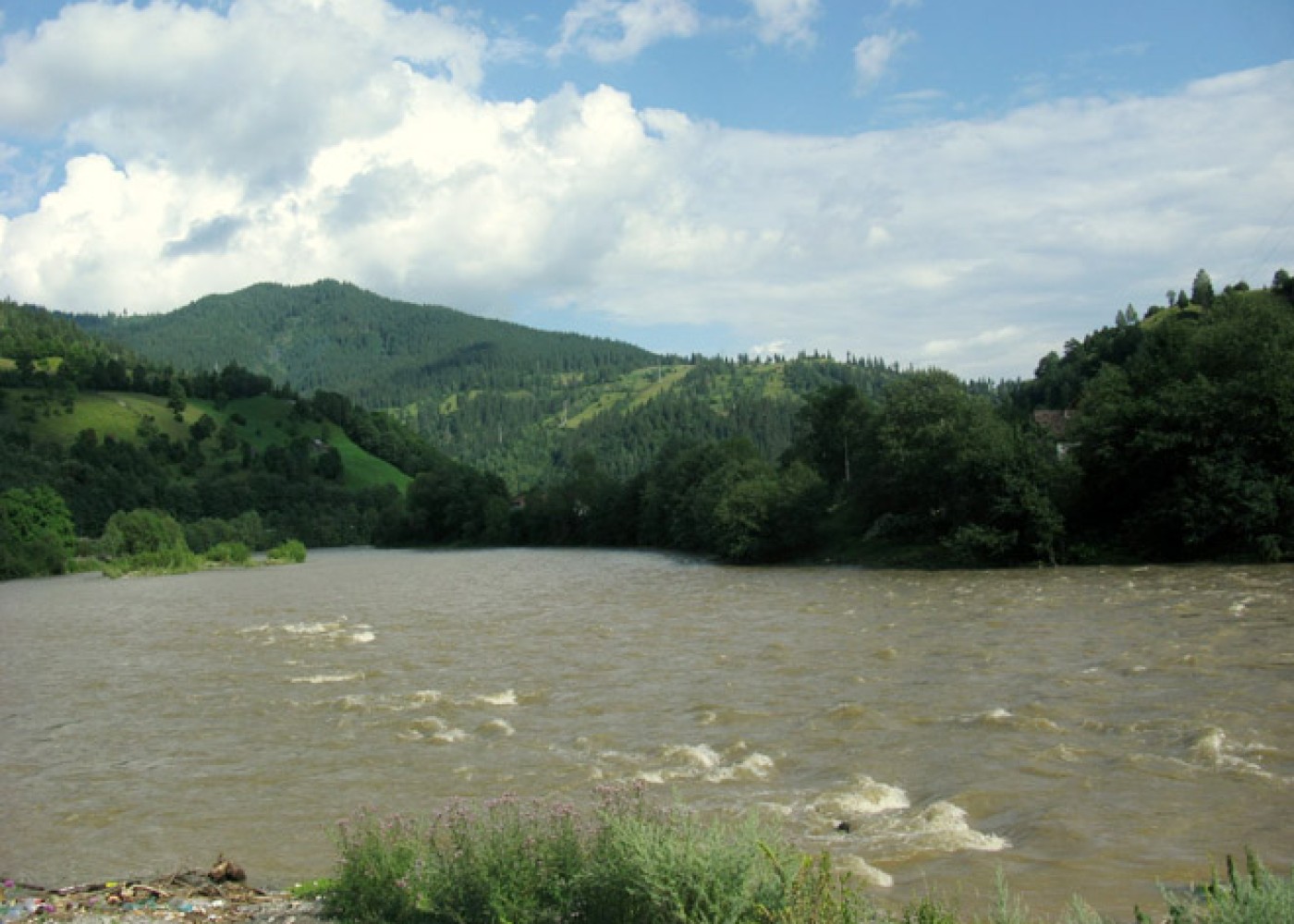 Река кура Азербайджан