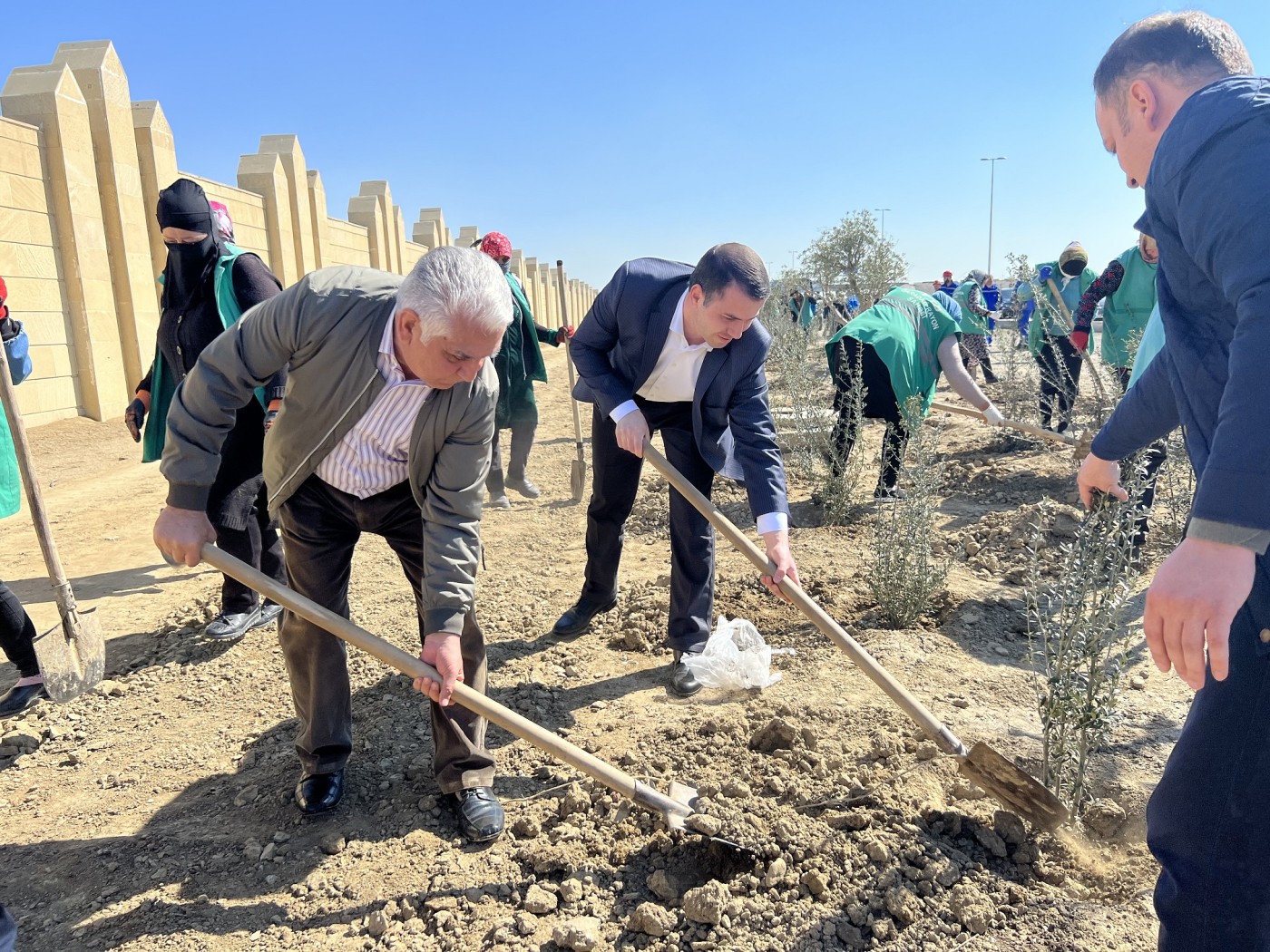 Qaradağda Heydər Əliyevin 100 illiyinə həsr olunmuş ağacəkmə aksiyası - FOTOLAR