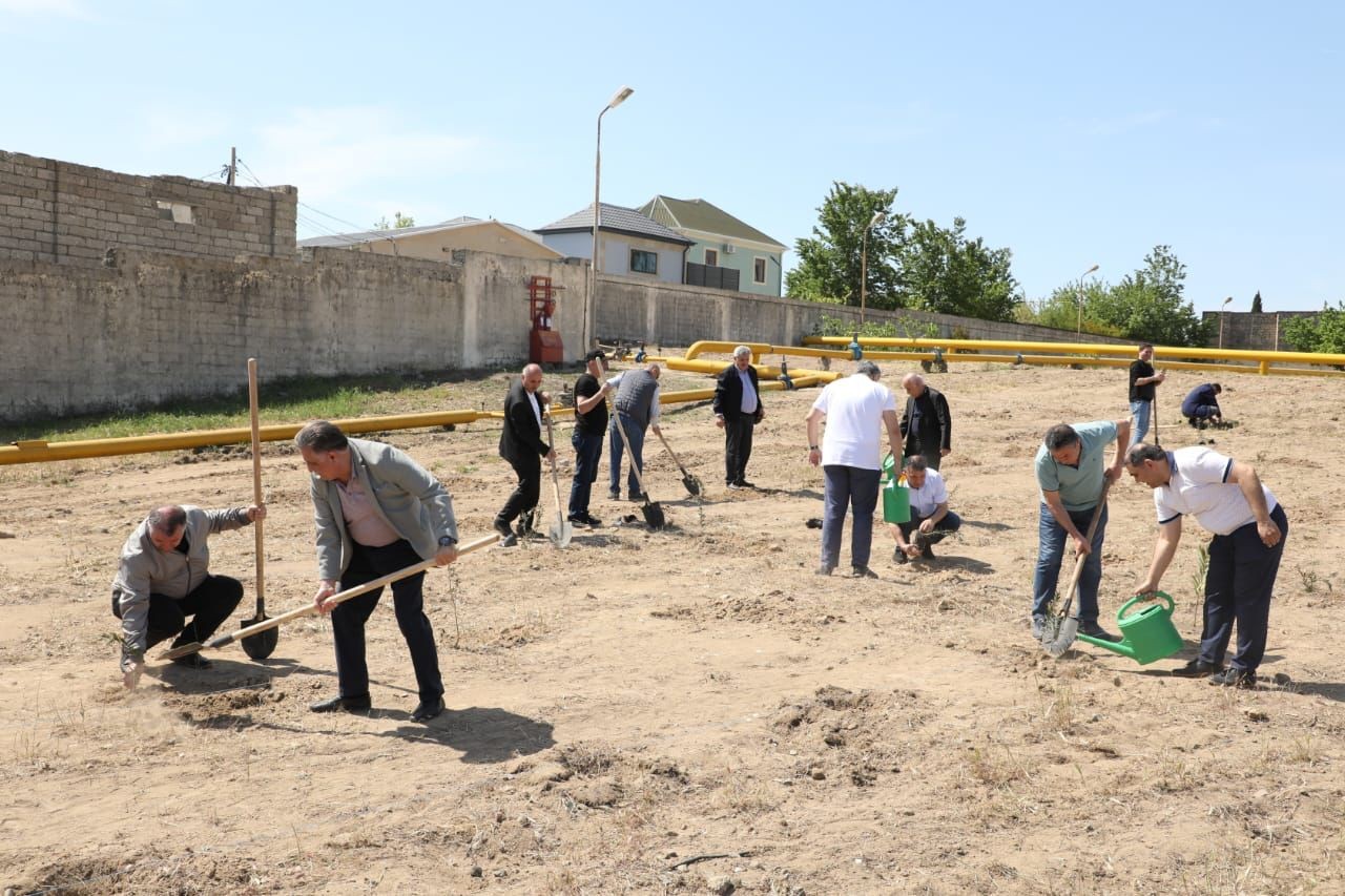 Heydər Əliyevin 100 illiyi ilə bağlı ağacəkmə aksiyası keçirilib - FOTOLAR