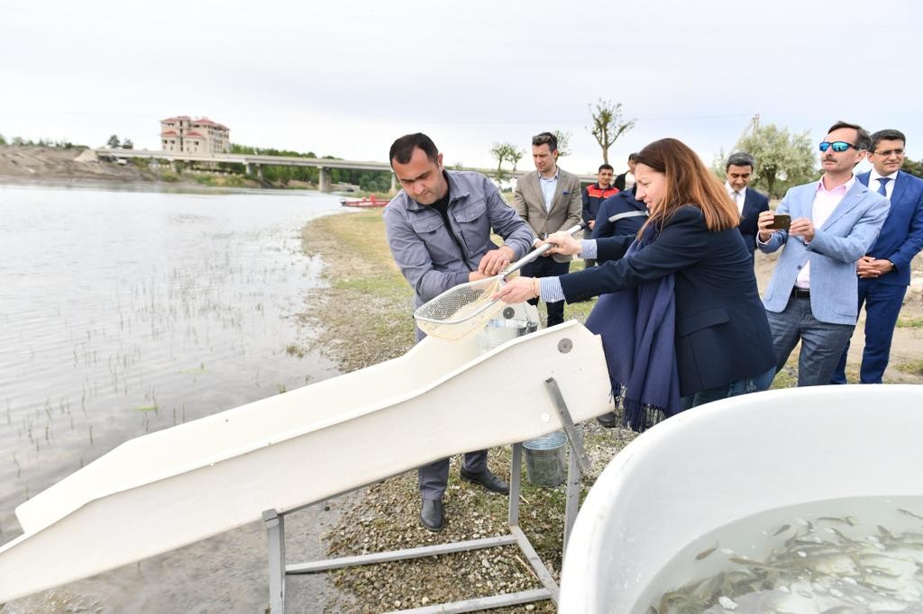 Növbəti balıq buraxılışları və ağacəkmə tədbiri keçirildi - FOTO