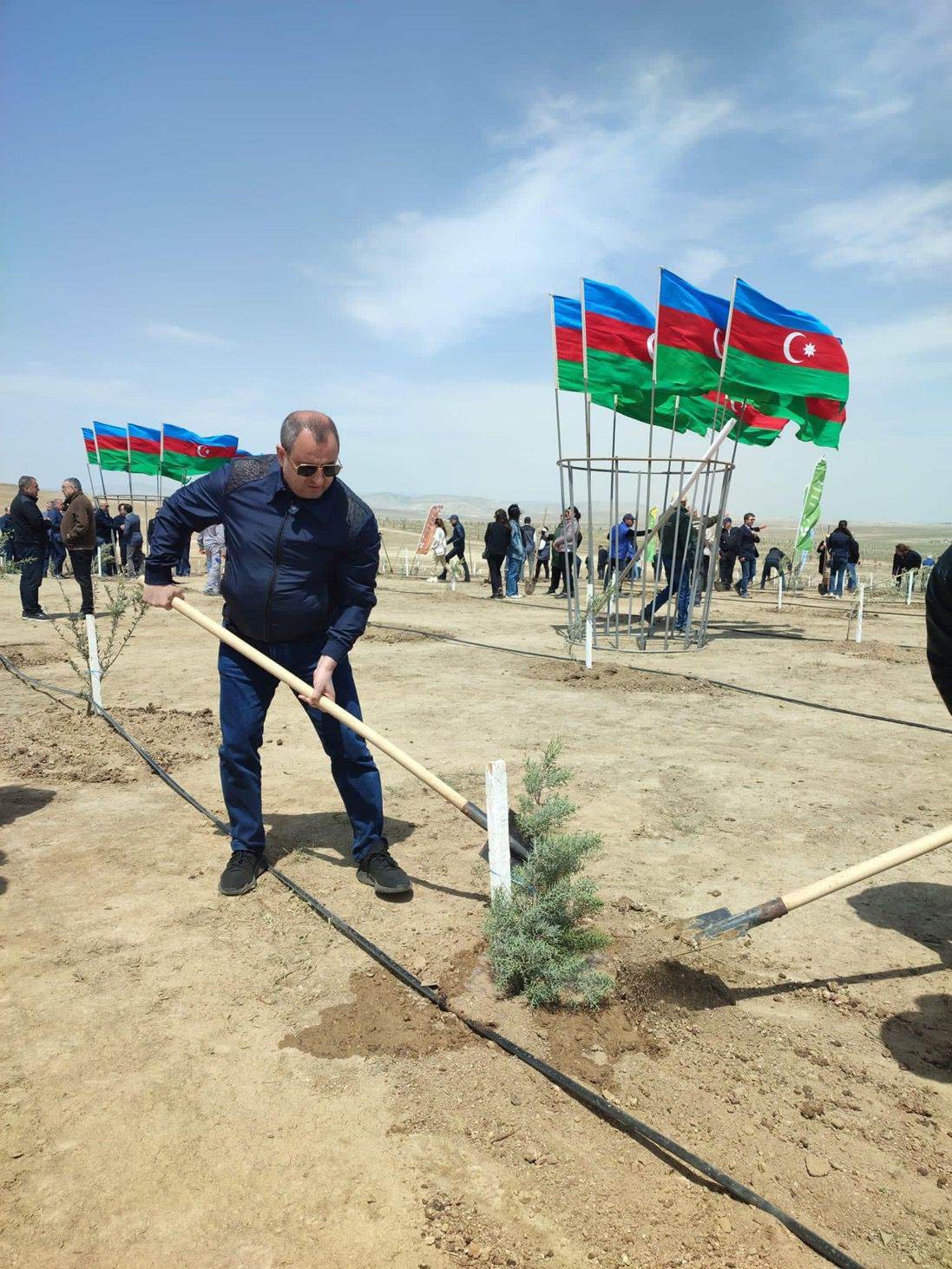 Ulu Öndər Heydər Əliyevin 100 illik yubileyi ilə əlaqədar ağacəkmə tədbirləri davam edir - FOTO