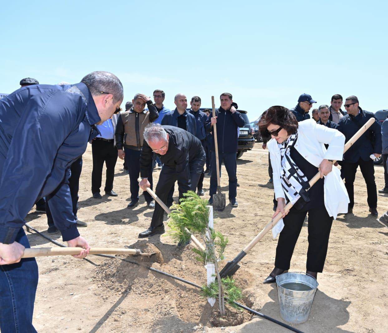 Ulu Öndər Heydər Əliyevin 100 illik yubileyi ilə əlaqədar ağacəkmə tədbirləri davam edir - FOTO