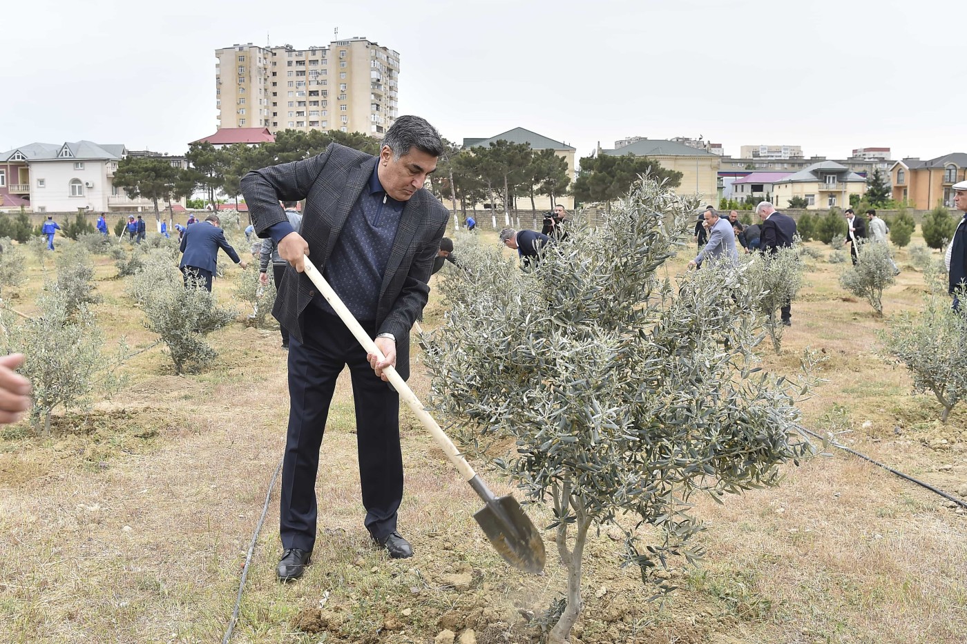 “Azərsu” ASC tərəfindən ağacəkmə aksiyası keçirildi - FOTOLAR