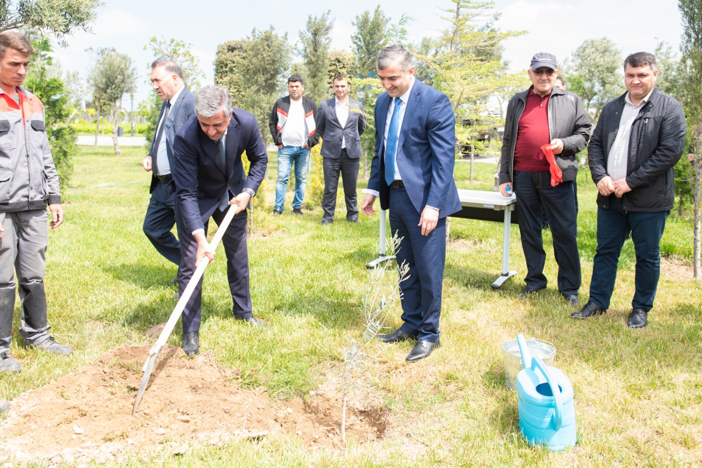 Heydər Əliyevə həsr olunmuş ağacəkmə aksiyası keçirilib  - FOTOLAR