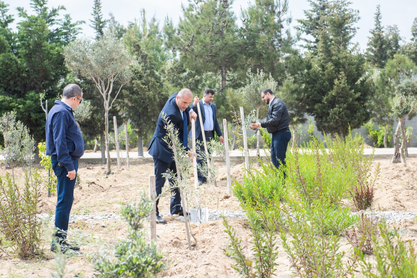 Heydər Əliyevə həsr olunmuş ağacəkmə aksiyası keçirilib  - FOTOLAR