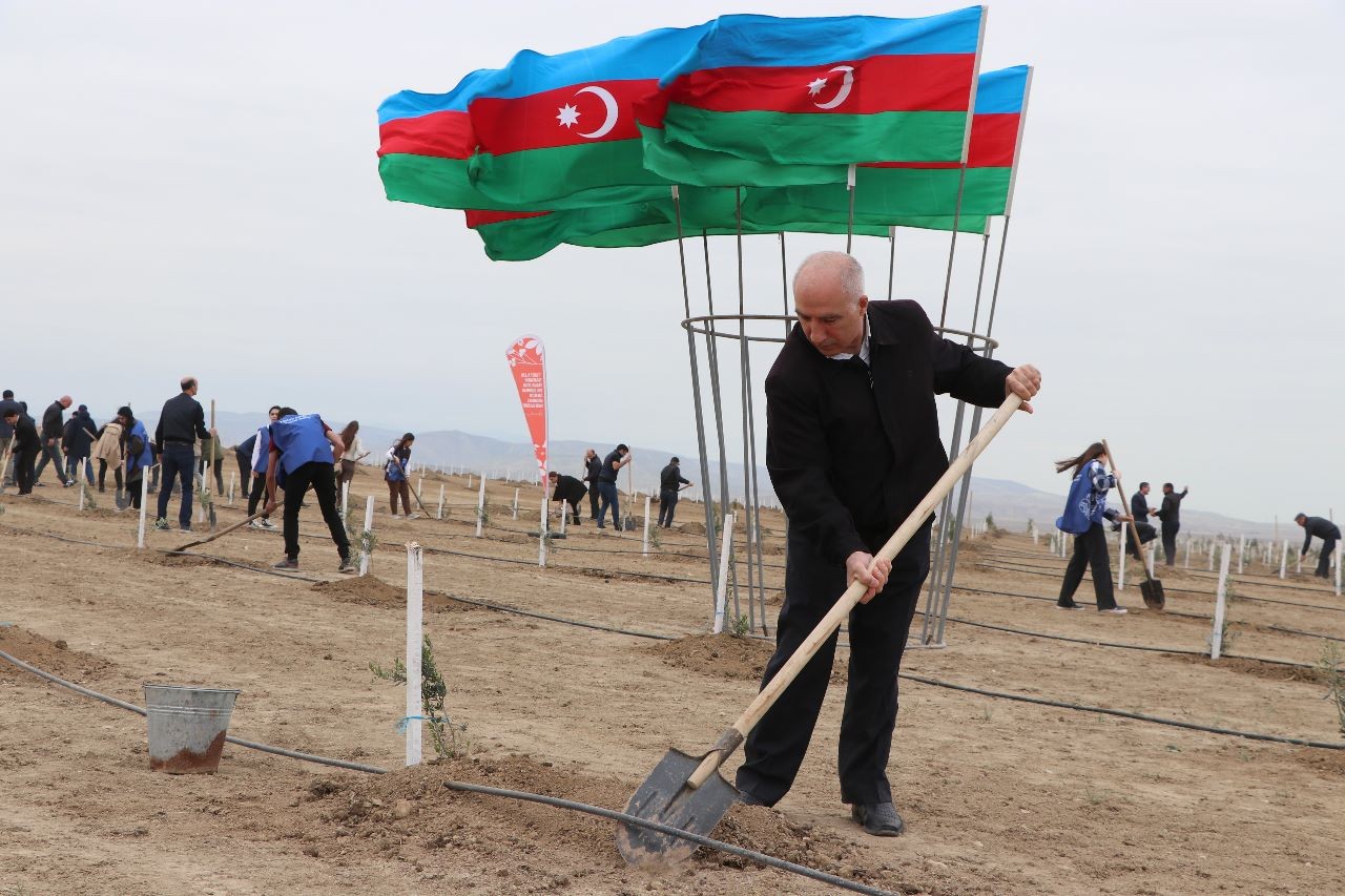 Muxtar Babayev və İnam Kərimov ağac əkdi - FOTOLAR