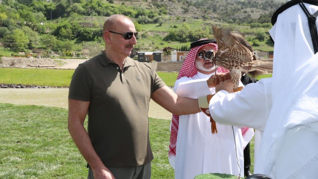 Laçında Şərqi Qafqaz turları və şahin quşlarıtəbiətə buraxıldı - FOTOLAR