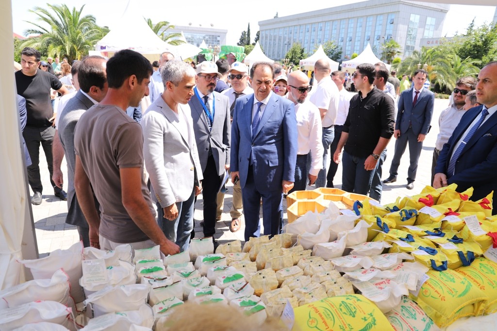 Lənkəranda “Avropa Şəhərciyi” keçirilib - FOTOLAR