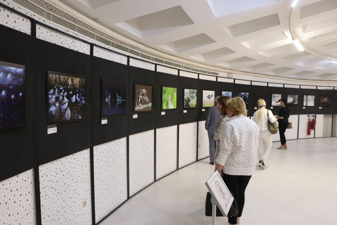 “Təbiət möcüzələri” adlı foto-sərgi açıldı - FOTOLAR