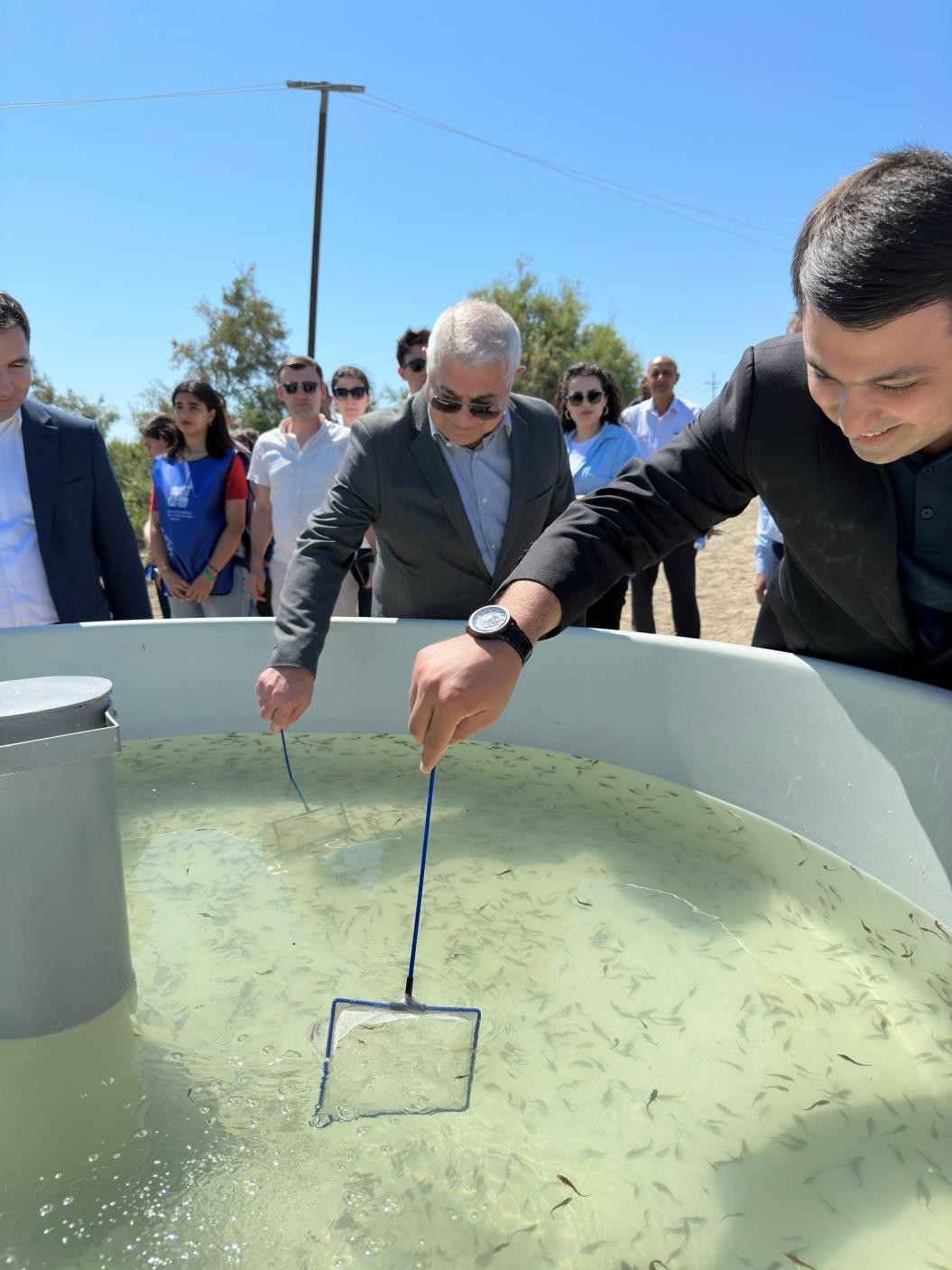 Kür çayına növbəti dəfə balıq körpələri buraxılıb - FOTOLAR