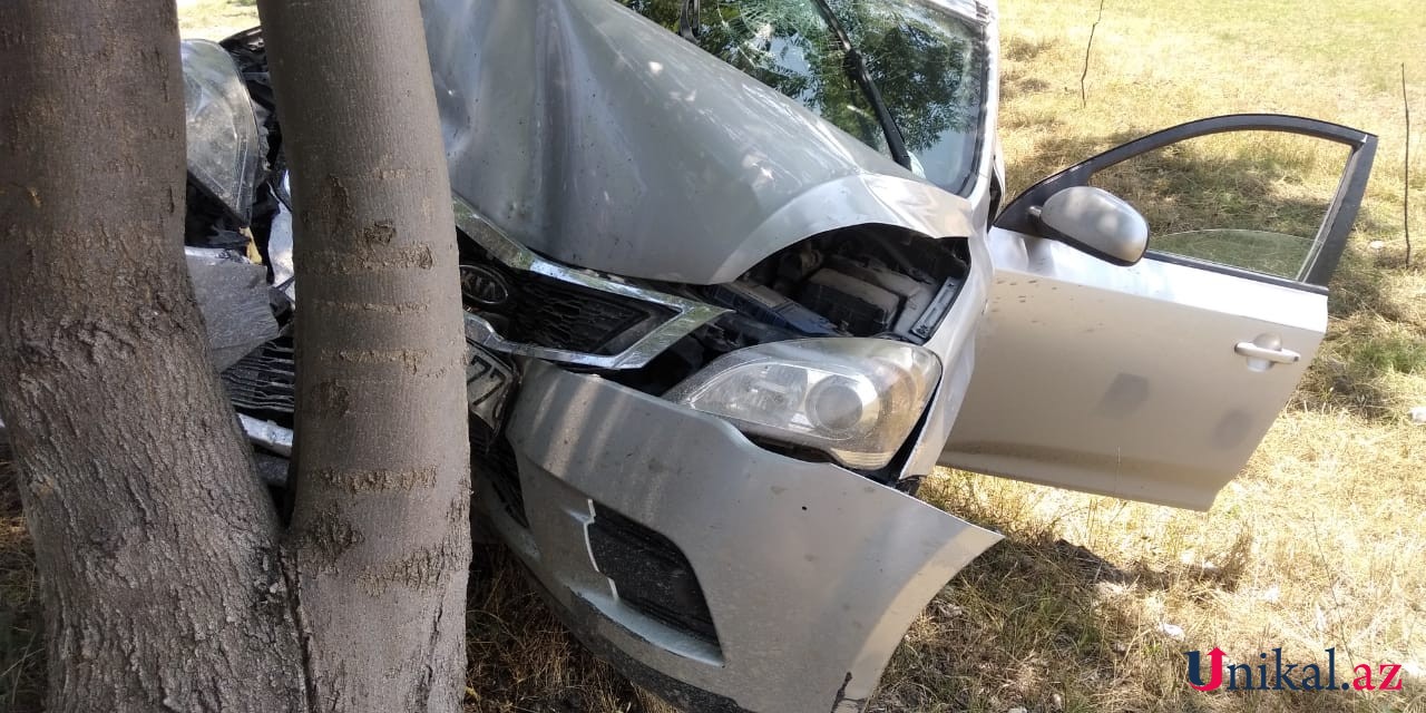 İsmayıllıda avtomobil ağaca çırpıldı - Yaralılar var (FOTO)