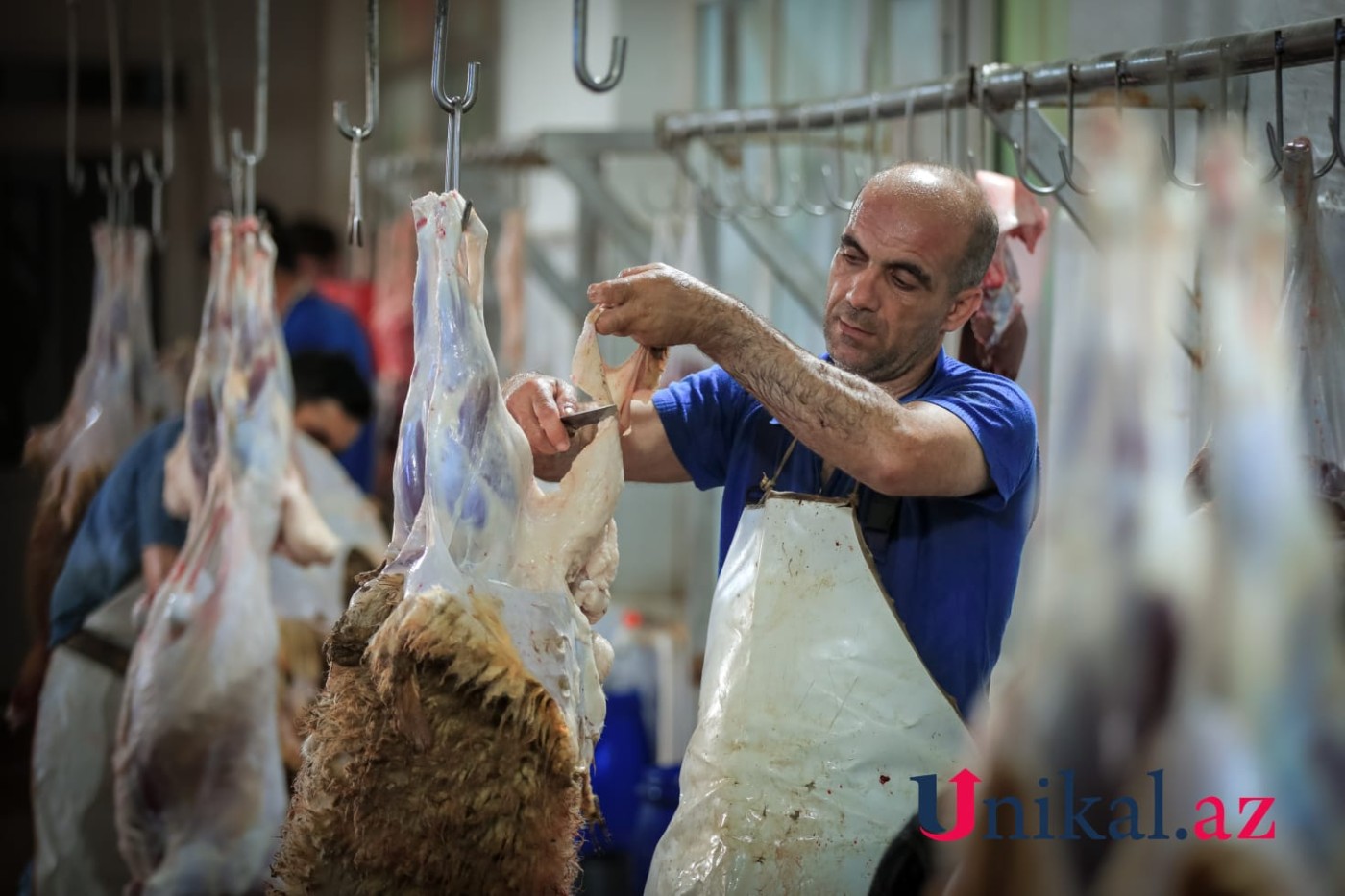 Bakı sakinləri qurban kəsir - FOTOLAR