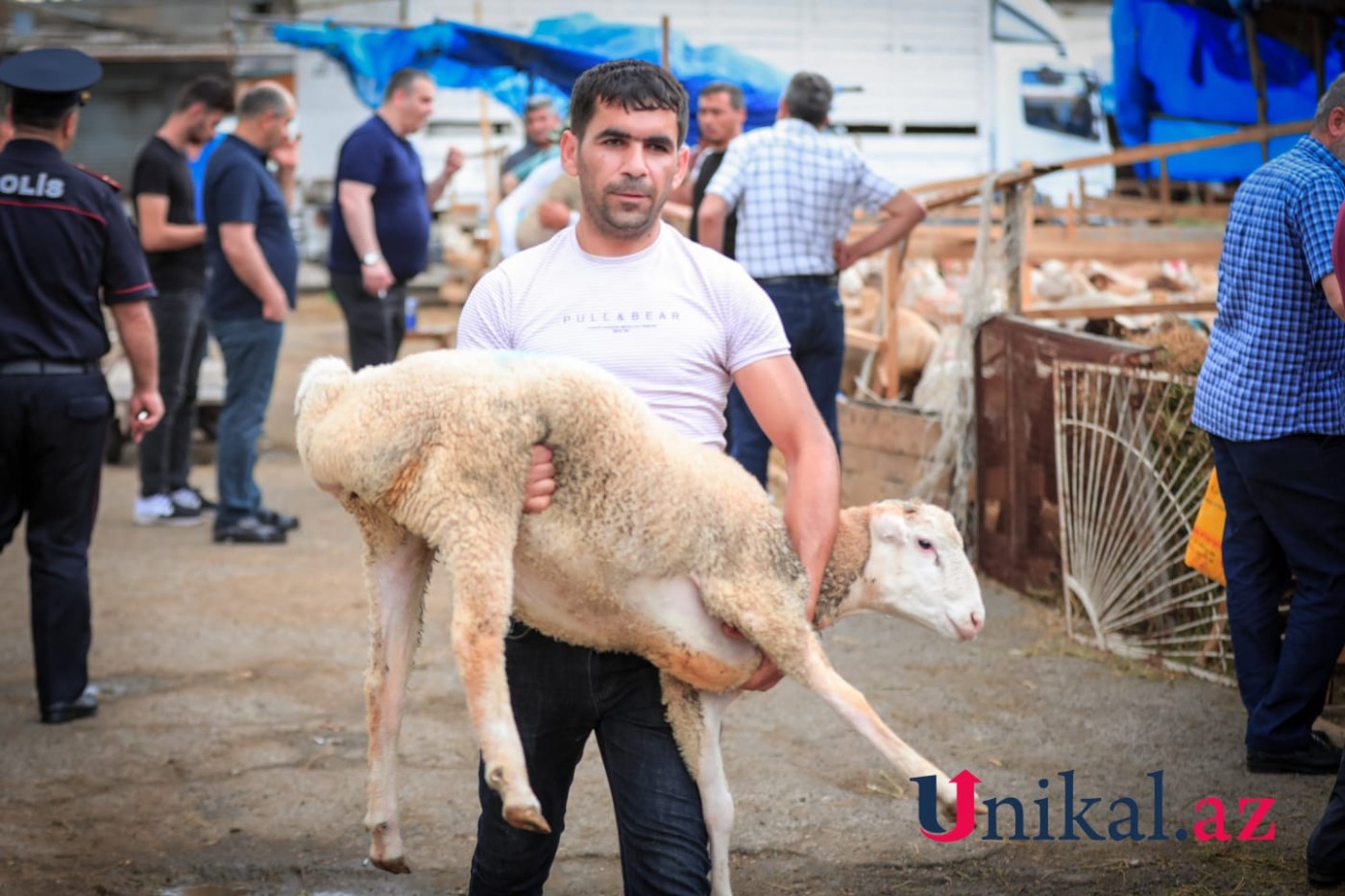 Bakı sakinləri qurban kəsir - FOTOLAR