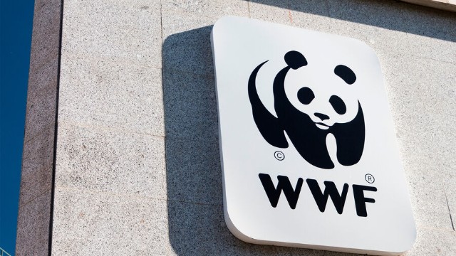 Rusiya WWF-ni arzuolunmaz təşkilatlar siyahısına saldı 