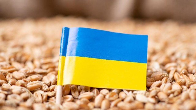 Ukrayna alternativ “Taxıl dəhlizi” TAPDI