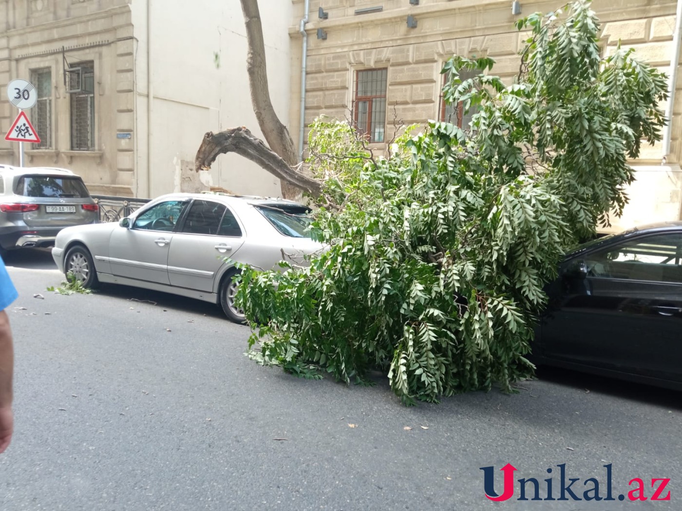 Bakının mərkəzində ağac 2 avtomobilin üzərinə AŞDI - FOTO