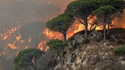 Yunanıstanda son sutkada 90-dan çox meşə yanğını ocaqları yaranıb