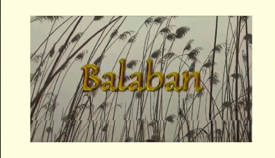 “Balaban sənətkarlığı və ifaçılıq sənəti” UNESCO-nun siyahısına daxil edildi