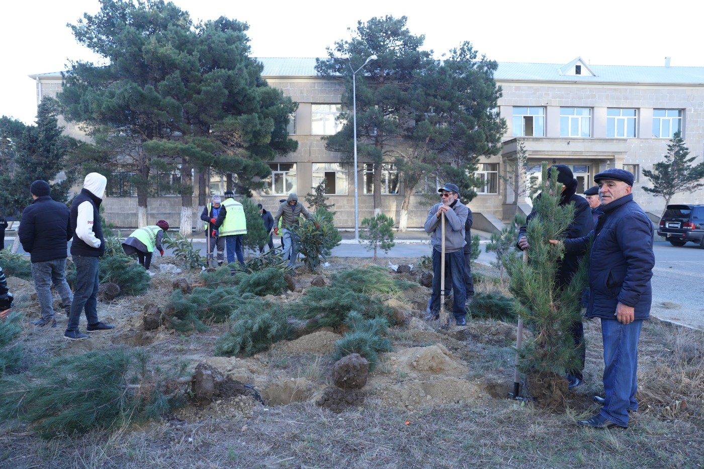 Xətai rayonunda ağacəkmə aksiyası keçirildi - FOTOLAR
