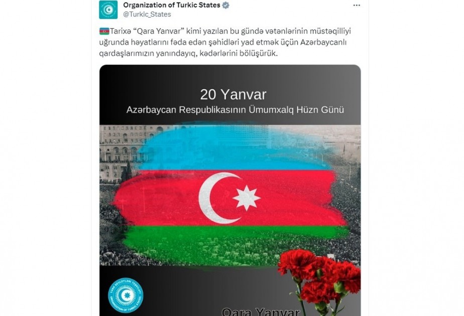 "Azərbaycanlı qardaşlarımızın yanındayıq" - TDT