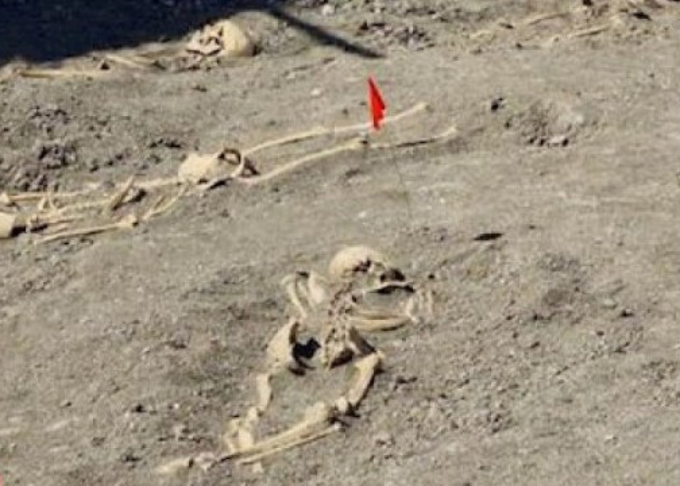 Xocalıda əl-ayaqları bağlı skelet qalıqları aşkarlandı- VİDEO (YENİLƏNİB)