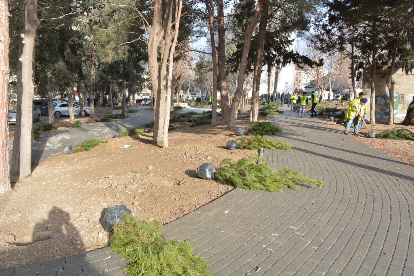 Xətai rayonunda 500-dən çox ağac əkildi - FOTOLAR