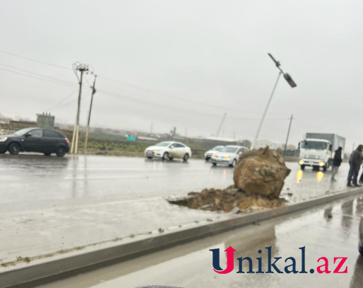 Sarayda ağır qəza - Maşın işıq dirəyinə çırpıldı (FOTO)