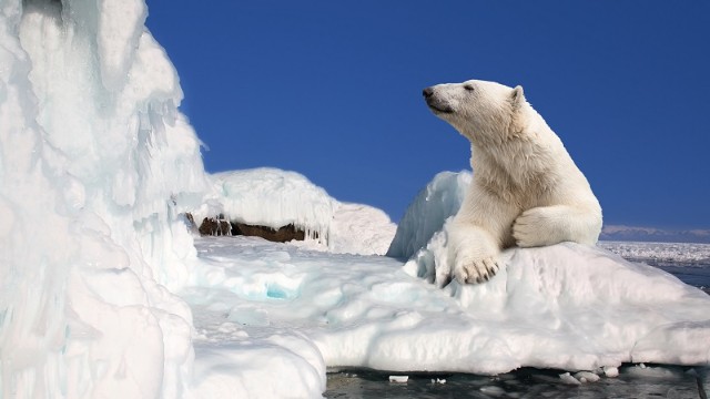 Arktikanın yenidən dondurulması planı hazırlanır