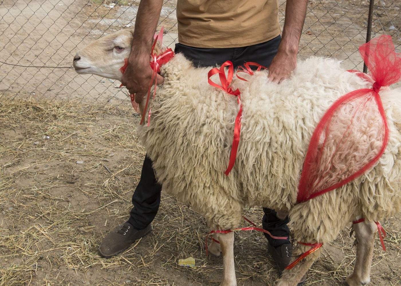 Azərbaycanda Qurban bayramıqeyd edilir