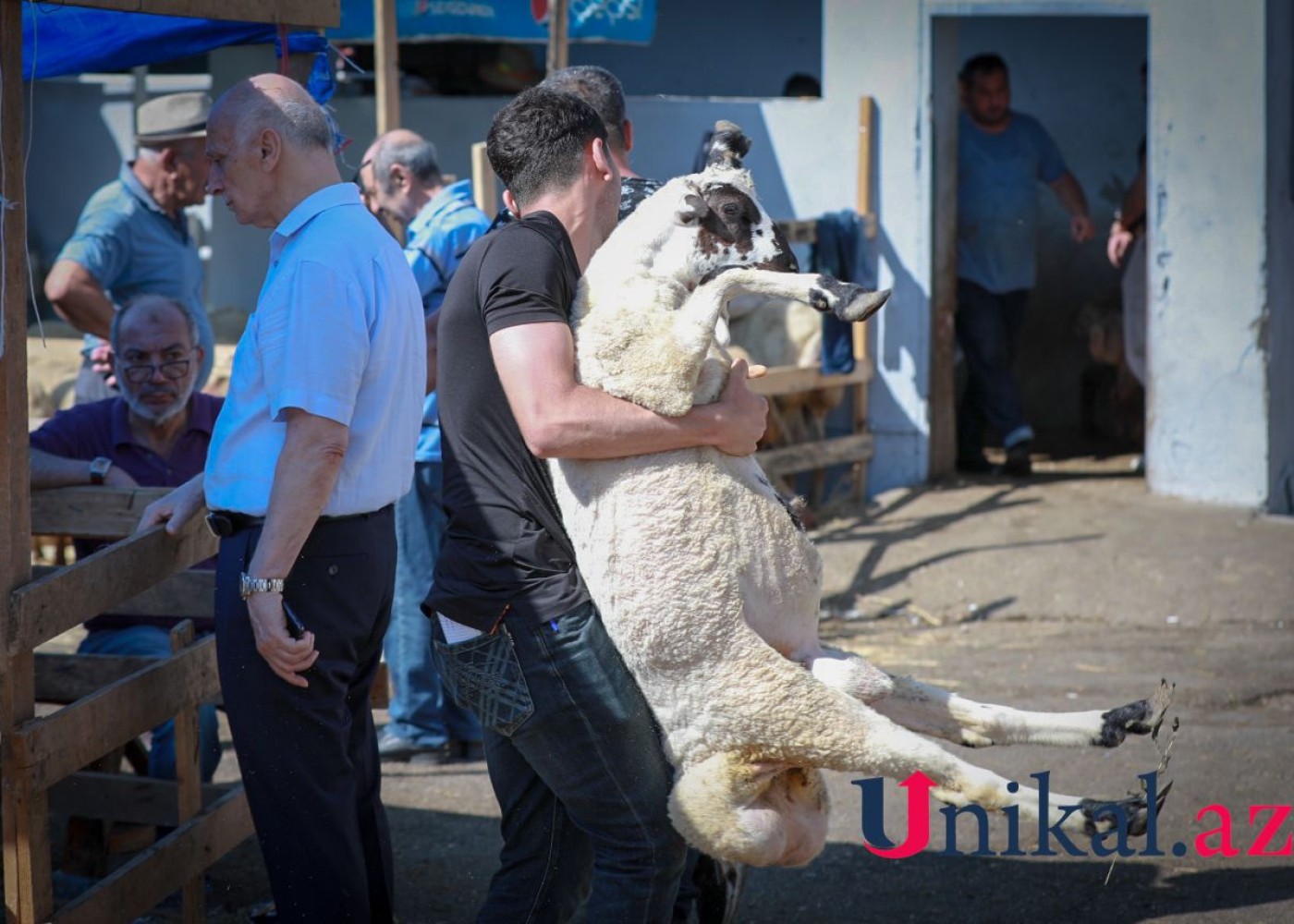 Keşlə bazarının qurbanlıqları -FOTOREPORTAJ