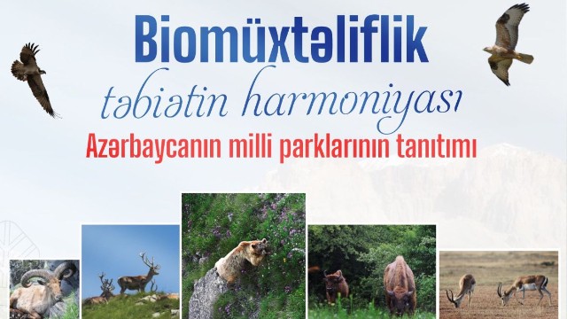 “Azərbaycanın milli parklarının tanıtımı”nda ekoturizm həvəskarlarını nə gözləyir?