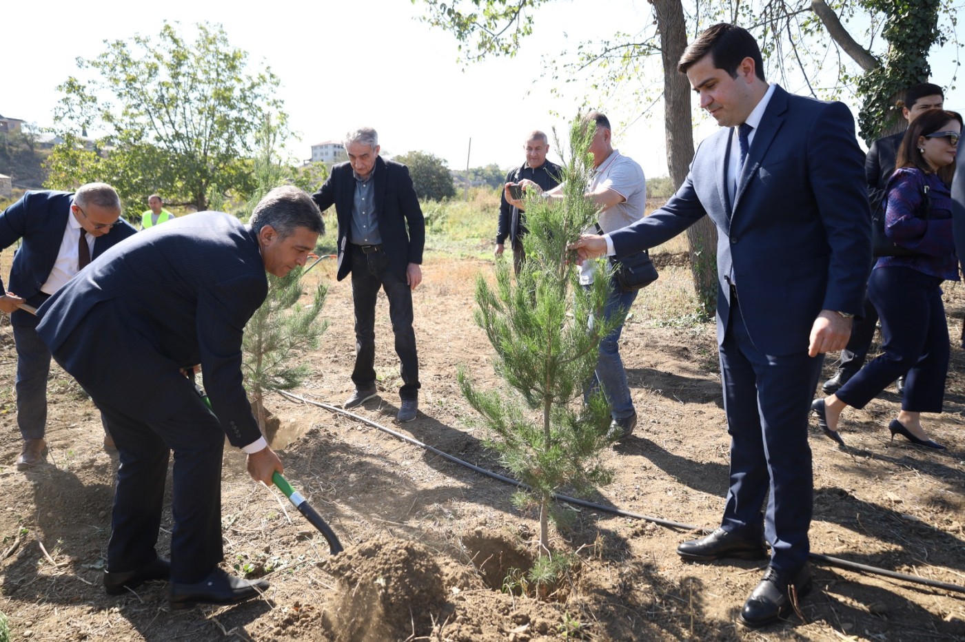 Gəncədə Anım Gününə həsr olunmuş ağacəkmə aksiyası keçirilib - FOTOLAR