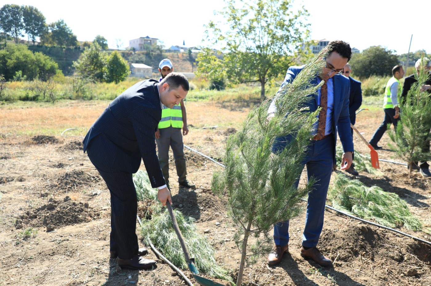 Gəncədə Anım Gününə həsr olunmuş ağacəkmə aksiyası keçirilib - FOTOLAR