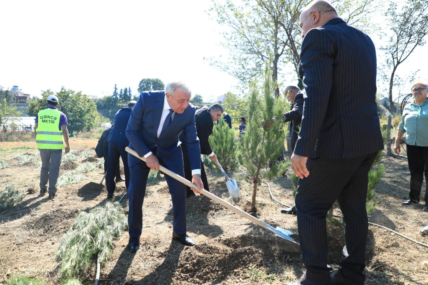 Gəncədə Anım Gününə həsr olunmuş ağacəkmə aksiyası keçirilib - FOTOLAR