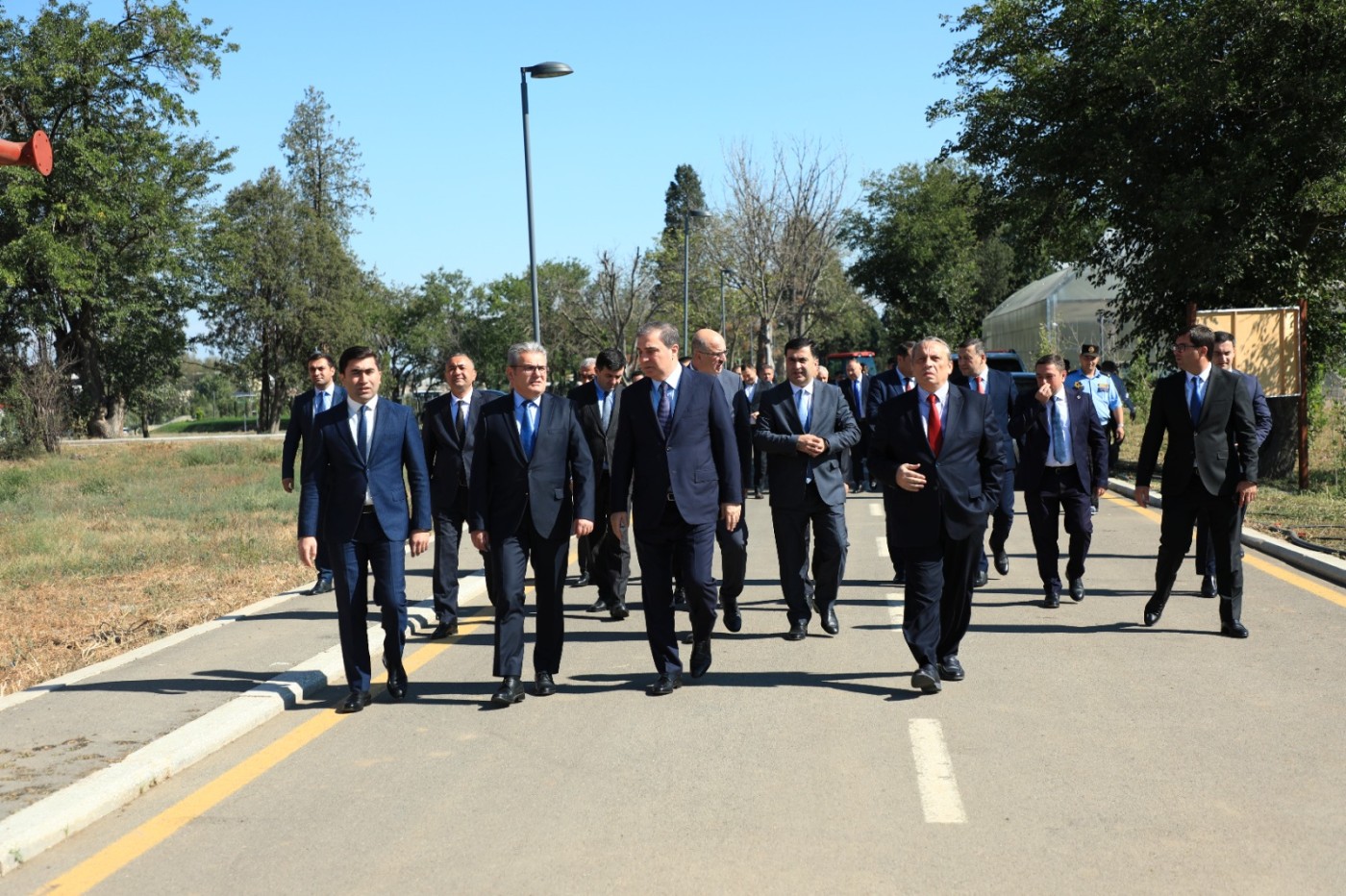 Gəncədə Anım Gününə həsr olunmuş ağacəkmə aksiyası keçirilib - FOTOLAR