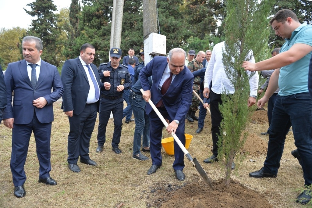 Lənkəranda “Anım Günü” ilə əlaqədar ağacəkmə aksiyası keçirilib - FOTOLAR